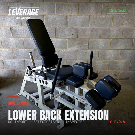 Lower Back Extension listing